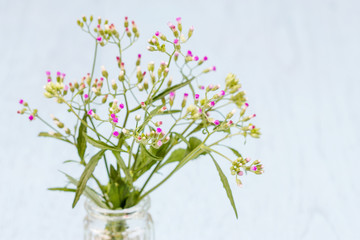 Grass flowers in glass bottles vase, selective focus