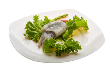 Raw cuttlefish
