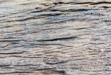 grey concrete texture with wood shuttering carved on it backgrou