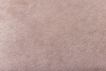 Grained beige background