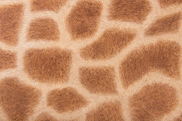 Giraffe fur, imitation background - 70194537