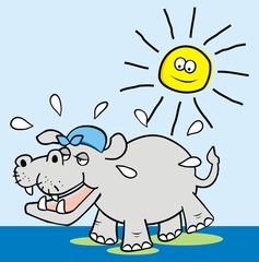 hippo