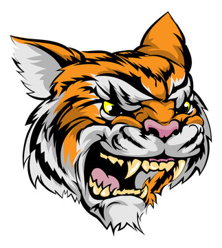 Tiger mascot character