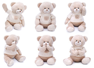 Teddy bears in different poses on white background - obrazy, fototapety, plakaty