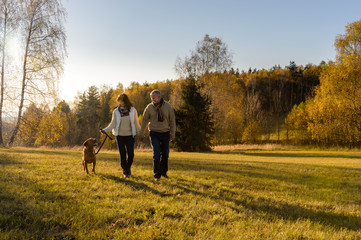 Couple walking dog autumn sunset landscape