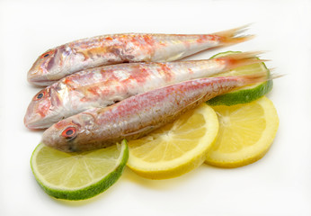 Salmonetes