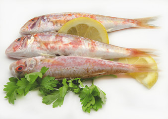 Salmonetes