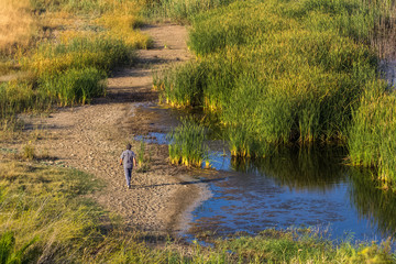 man walking near the swamp