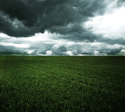 Storm dark clouds over field with grass