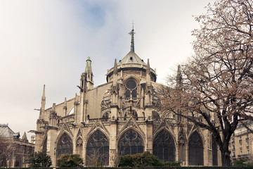 Notre Dame de Paris back View