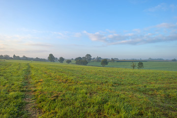 Fototapeta na wymiar Track through a meadow at sunrise