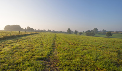 Track through a meadow at sunrise