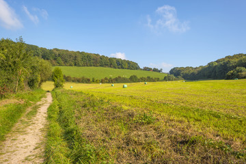 Track through the countryside in summer