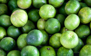 Fresh lime fruits