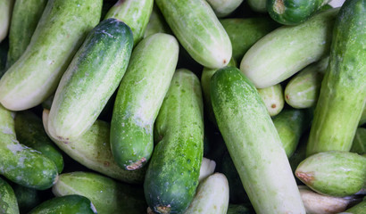 Fresh green cucumber collection outdoor on market