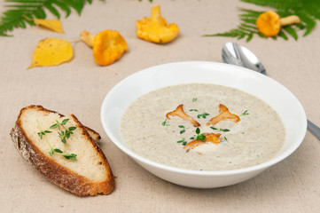 mushrooms soup