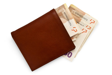 leather wallet with money