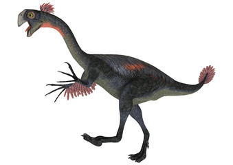 Dinosaur Gigantoraptor