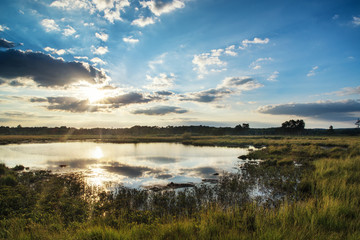 Fototapeta premium Summer sunset landscape over wetlands