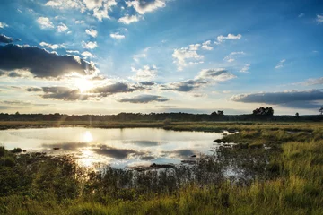 Foto op Plexiglas Summer sunset landscape over wetlands © veneratio