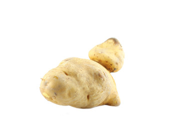 eine große Riesensüßkartoffel