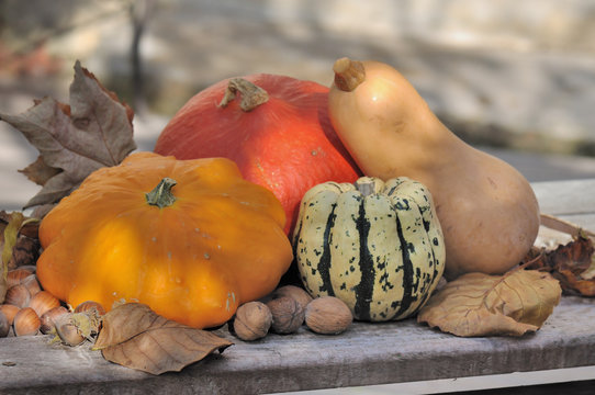 ensemble de courges
