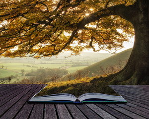 Book concept Stunning Autumn morning sunlight lights landscape t