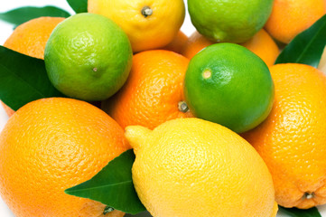 Citrus fruits