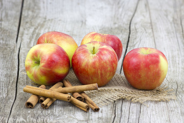 Red apples and cinnamon sticks v