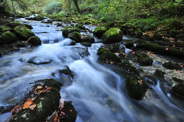 Fototapeta premium Mountain stream