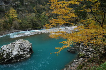 River in autumn