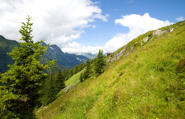 Fototapeta na wymiar Stilluptal - Zillertal - Alpen