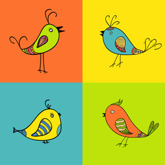 set of color birds for design