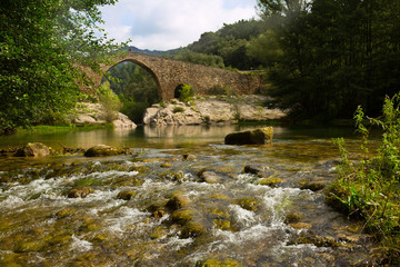 Fototapeta na wymiar Mountain river with medieval stone bridge