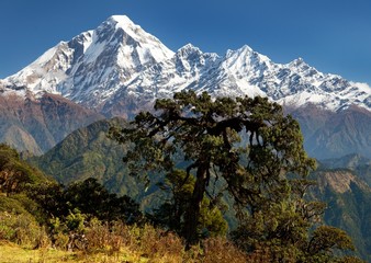 View of mount Dhaulagiri - Nepal