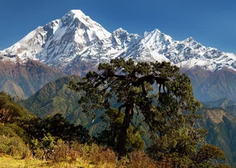 Naadloos Behang Airtex Nepal View of mount Dhaulagiri - Nepal