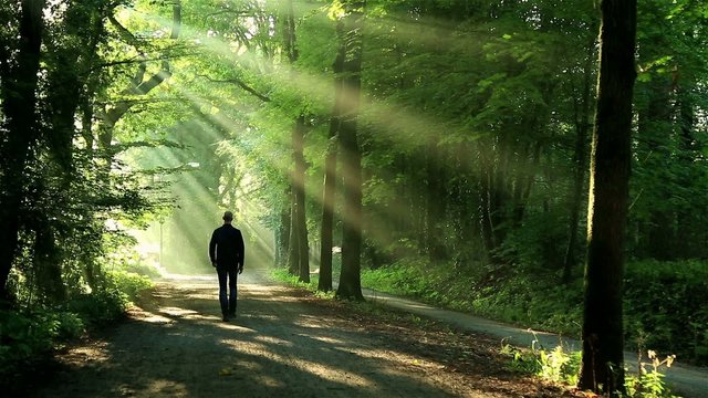 Man walking in lane toward the sunlight.