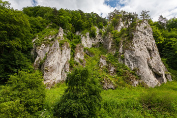 Fototapeta na wymiar Rock formations in the greenery