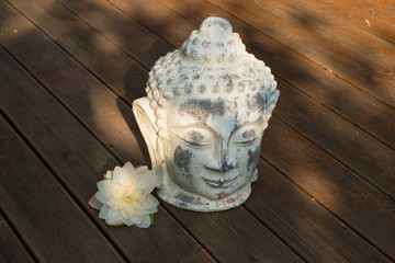 Buddhakopf mit Seerose