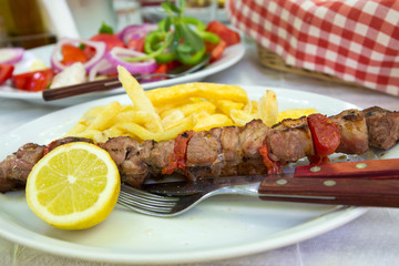 Leckerer Schaschlik mit frischen Salat
