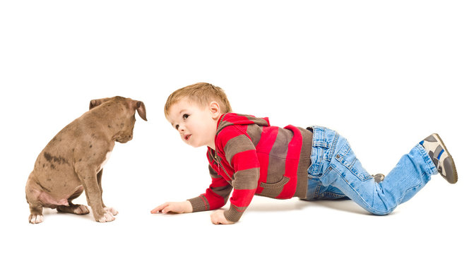 Boy and puppy looking at each other
