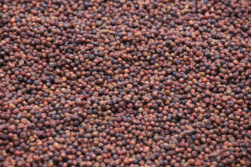 Red Peppercorns