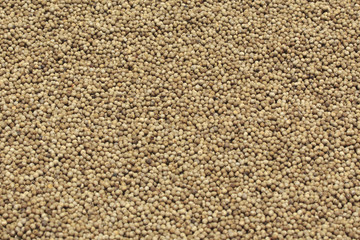 peppercorns