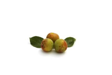 Prunes