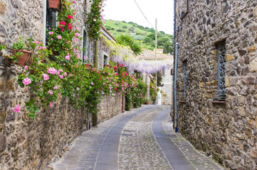 Narrow street of flowers © spritz77