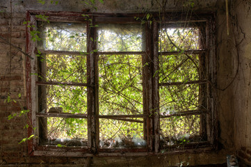 Abandoned house