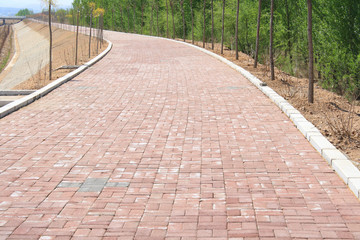 Sidewalk