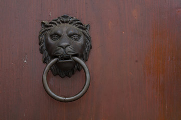 lion door wood