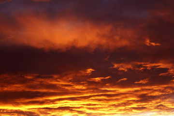 Fototapeta premium Sky