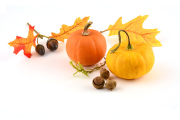 Autumn scene © fotogal